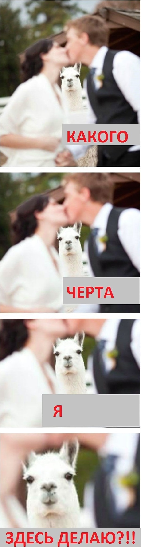 8. Ты все время заходишь не в ту комнату или даже не в то здание.