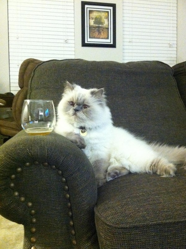 12. Вот как выглядит активное слушание.