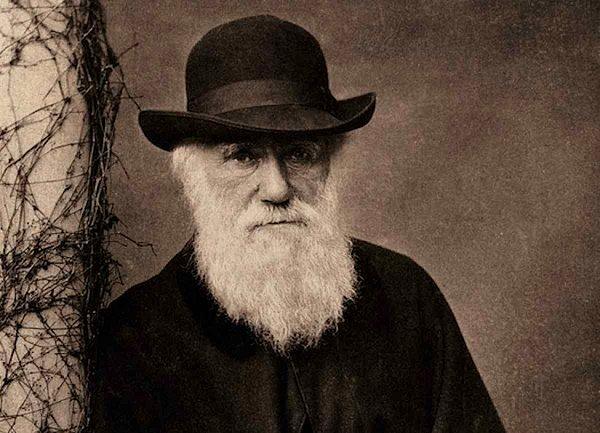 10. Evrim Teorisi - Charles Darwin (1859)