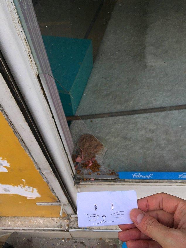 Camı kedinin geçebileceği kadar kırıdığını gösteren bu fotoğrafı paylaştı