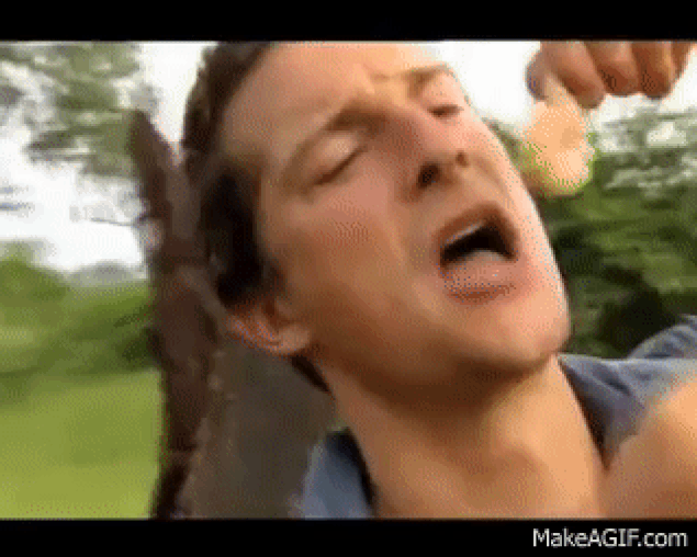 s-409e517463f2716b0204117f69d9e482157a0682.gif