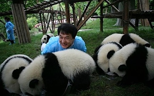 Pandalara bayılıyor! 🐼🐼🐼
