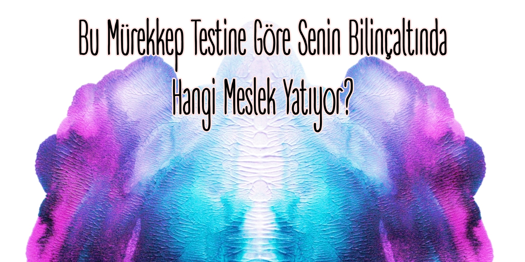 Şekerci bir meslek. Tanım ve özellikler Şekerci bir meslek. Tanım ve özellikler