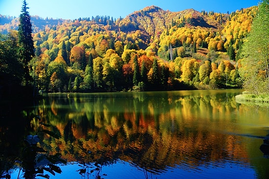 'Artvin'in Üstü Altından Daha Değerlidir' Sözünü Haklı Çıkaran 30 Fotoğraf