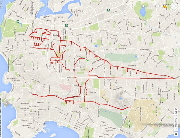 10. Тирекс (37,3 км, 1.43 часа езды)