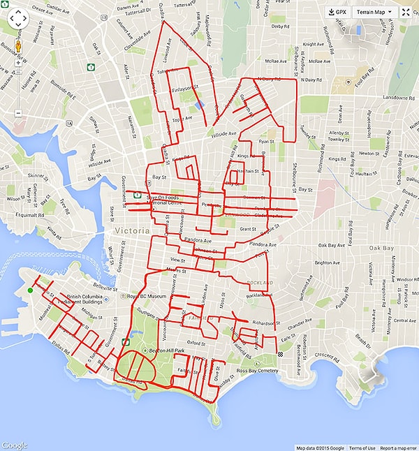 15. Кролик (75,5 км, 3.17 часа езды)