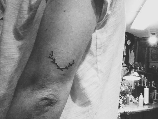 7. Ветки деревьев