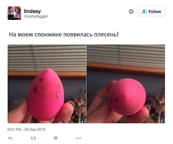 8. Плесень на спонжике. Плесень...на спонжике... 😨