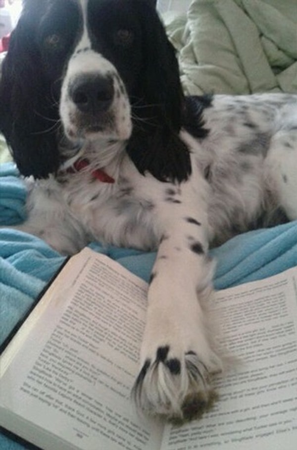 3. Подожди-ка!