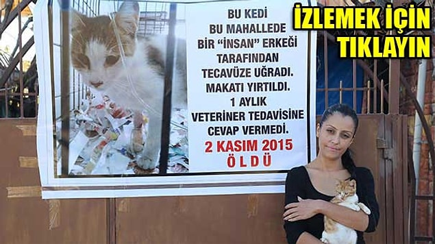 4. Hayvan tecavüzünü yok saymak
