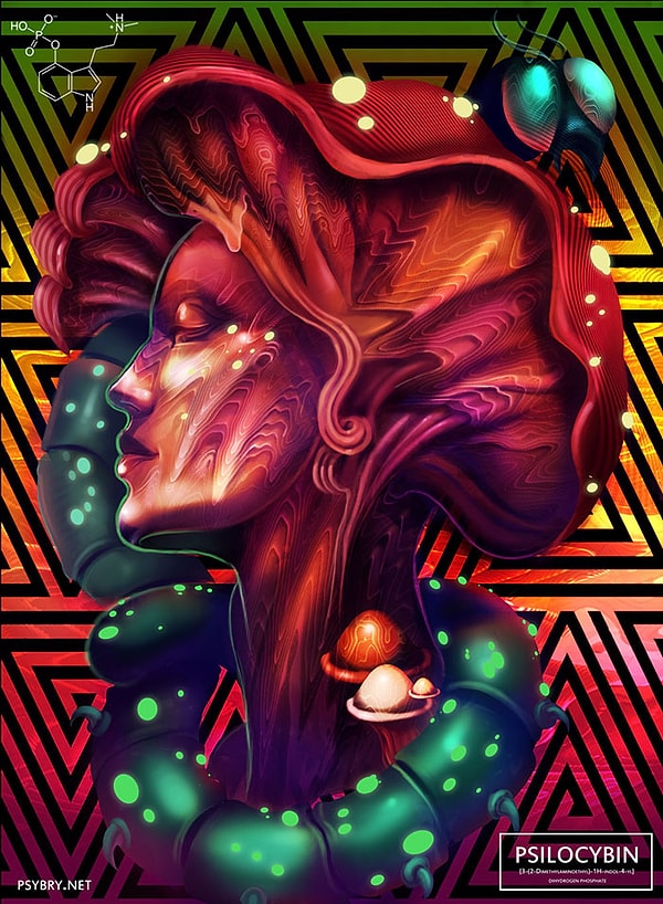 8 день: Псилоцибин