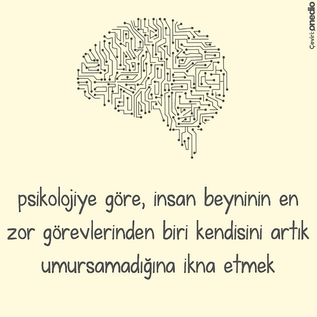 7.