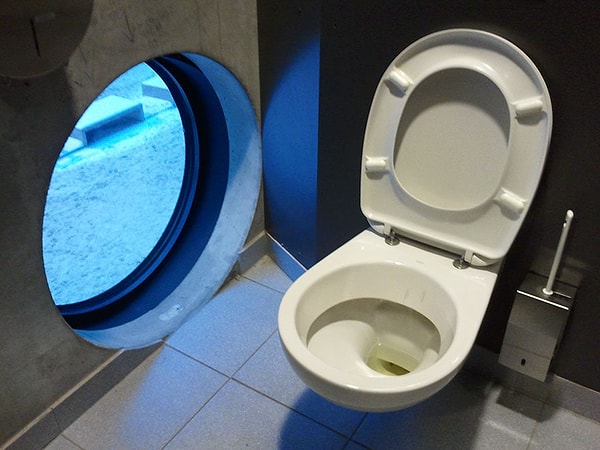 14. В это время в университете Польши