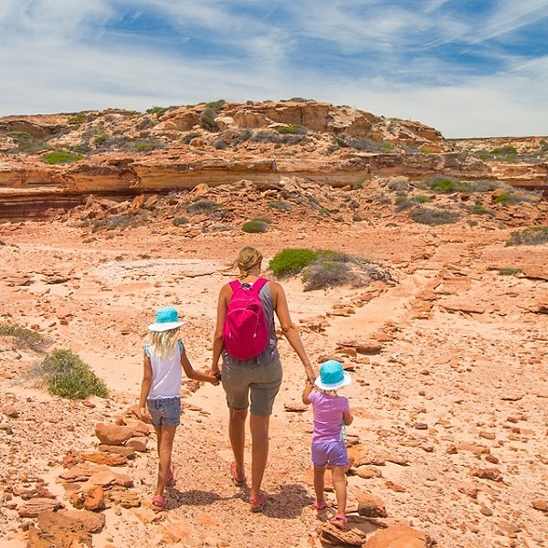20. выезды на природу или ...