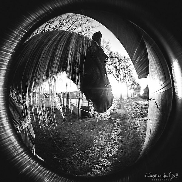 7. Утренний свет