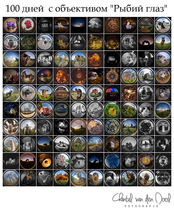 1. Первые 100 фотографий проекта