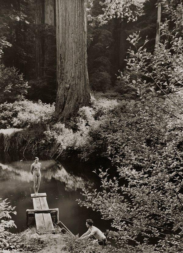 18. Prairie Creek Park'taki doğal bir yüzme havuzu. California. Haziran, 1938.