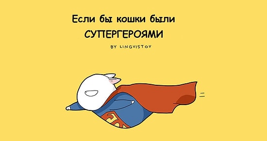 9 картинок, доказывающих, что кошки – замечательные супергерои
