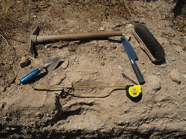'Panik içinde malasını arayan bir arkeolog görmek günün sıradan bir olayı'