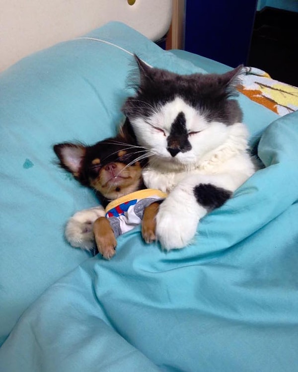 1. Спим вместе 💤