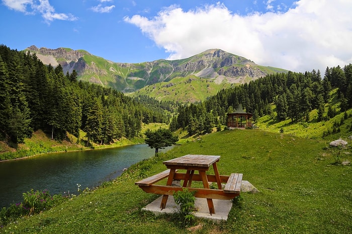 Türkiye’nin İlk Ekolojik Gençlik Köyü Artvin, Avcala Yaylası’nda Kuruluyor