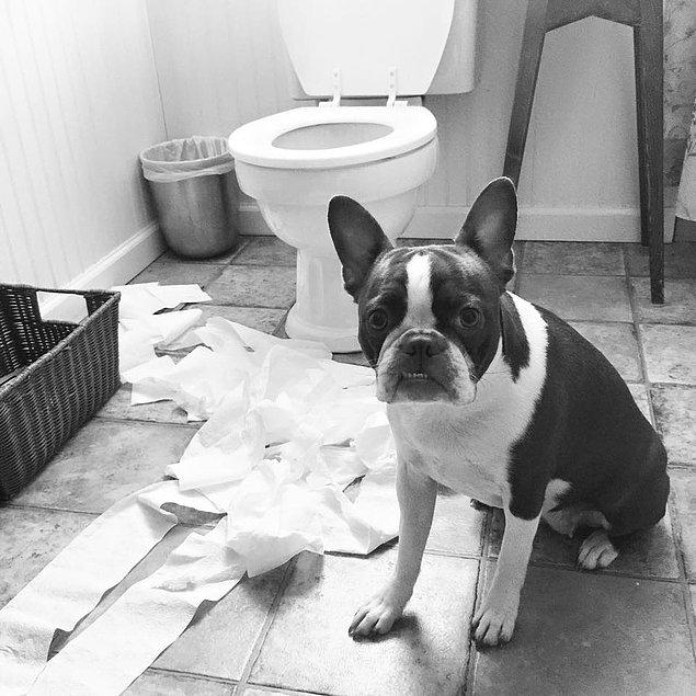 1. What...? I played with the toilet paper so what?