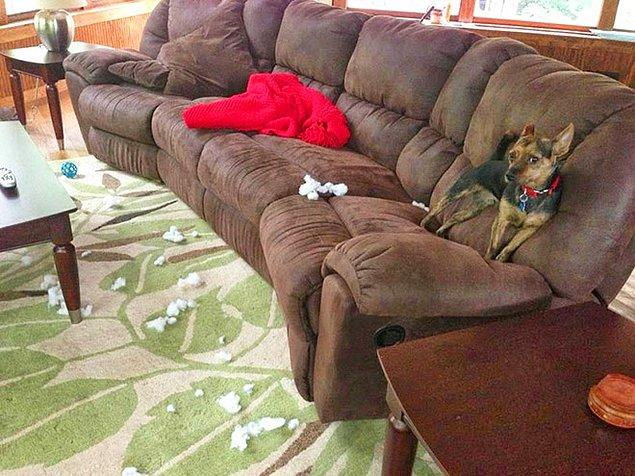 20. "I'm right here. The pillow is all the way over there. I can't be guilty!"