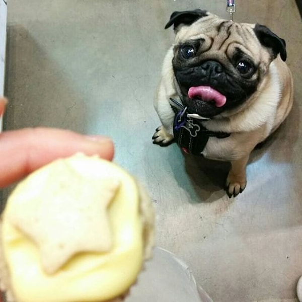 11. Взяточничество