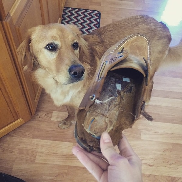 12. Массажер для зубов