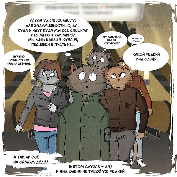 3. О видах оленей