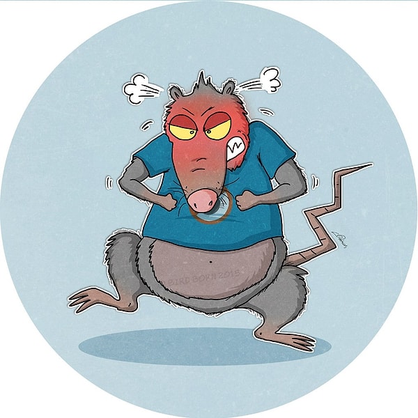 8. Об эмоциях