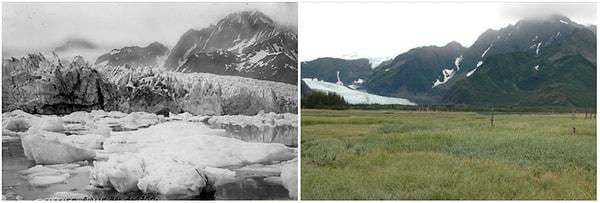 1. Pedersen Buzulları, Alaska; 1917 - 2015 Arası