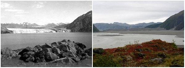 3. Carroll Buzulu, Alaska; 1906-2003 Arası