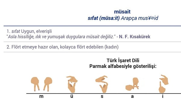 Güncel Türkçe Sözlük'teki Cinsiyetçi İfadenin Kaldırılmasını İstiyoruz