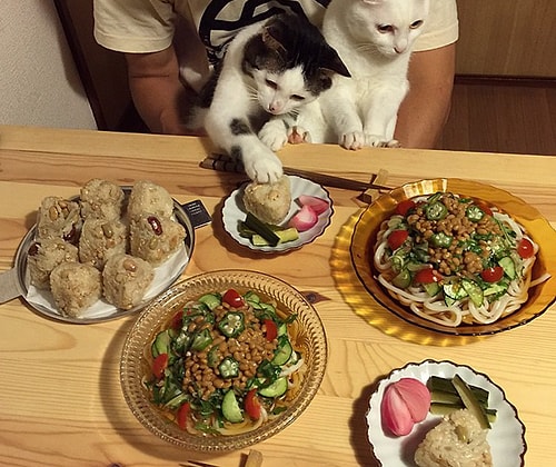 Hiçbir yemek faslını kaçırmayan bu minnoş ikilinin insanları...