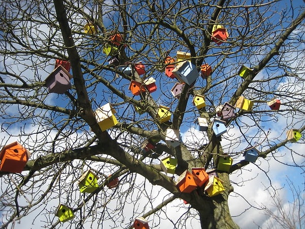 4. И начал создавать для них уютные "домики" из отработанного дерева