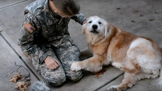 3 Aydır Görmediği Dostunun Askerden Gelmesiyle Ağlamaya Başlayan Duygusal Köpek