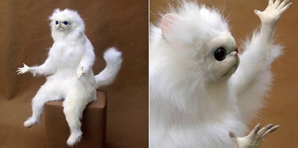 8. Ну, и как замужняя жизнь?