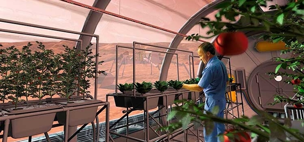 Mars Toprağında Bitki Yetiştirme Çalışmaları Devam Ediyor