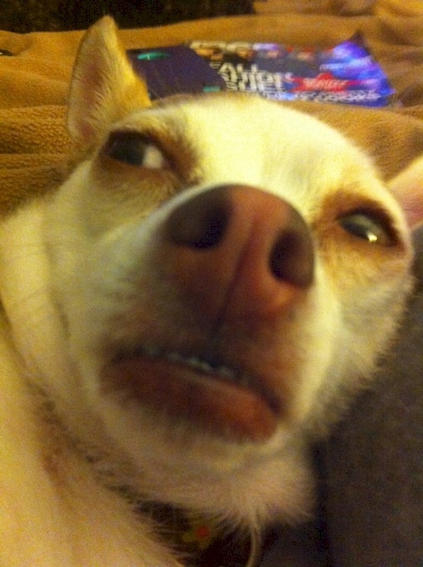 12. Ты пукнул что ли?