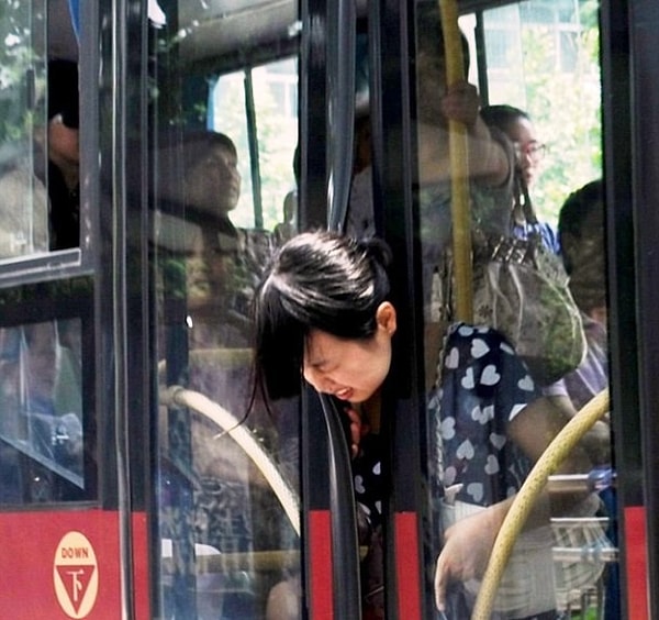 15. Как Винни-Пух в норе у кролика 🐰