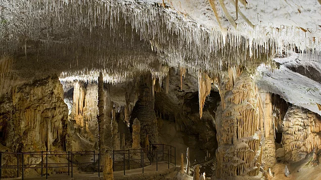 Postojna mağara sistemlerinin başka bir özelliği ise dünyanın turizme açık en büyük mağarası olması.