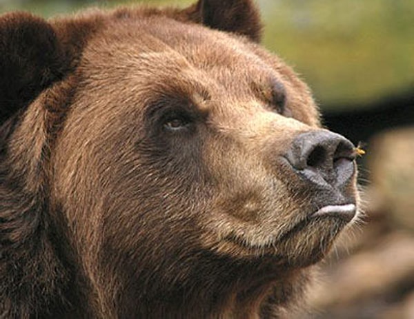 9. Не осталось никакого вкуса к жизни... даже не спрашивай.