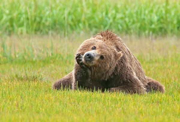 12. И все-таки мне интересно, в чем же смысл жизни?