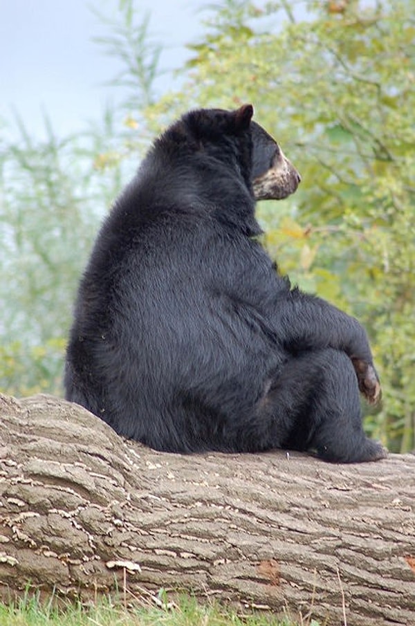 15. Я обиделся.