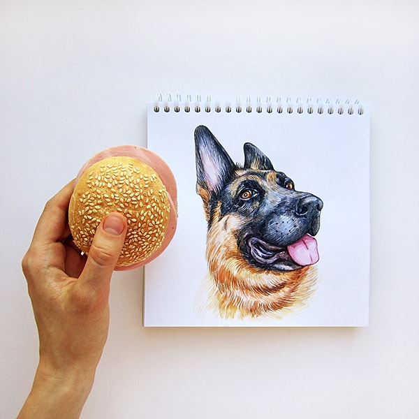 18. Нет! Я веган и точка! 😕😕