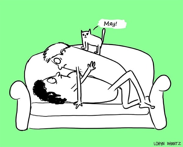 2. Домашние животные даже здесь достанут