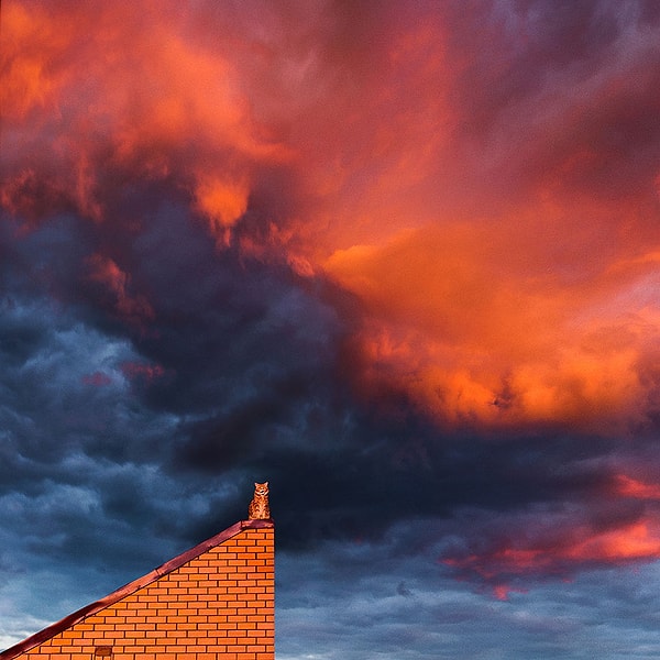 7. "А на улице он будет сидеть там, где его посадишь".