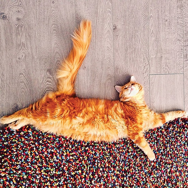 17. "И чем больше таких вещей в жизни человека, тем он счастливее".