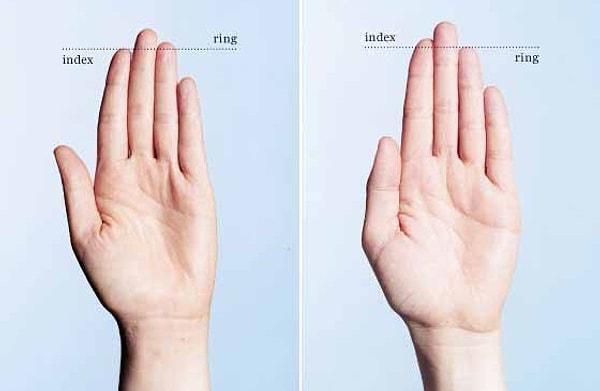 17. British Journal of Psychology'nin 2007 yılında yaptığı bir araştırmaya göre, yüzük parmağının işaret parmağının uzunluğuna olan oranı diğer insanlara göre daha fazla olan erkekler, üniversite sınavında daha başarılı oluyorlar.